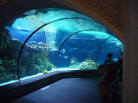 Omaha henry doorly zoo aquarium - Omaha's Henry Doorly Zoo and Aquarium is open year-round except Thanksgiving and Christmas Day. During inclement weather, please call (402) 733-8401. …